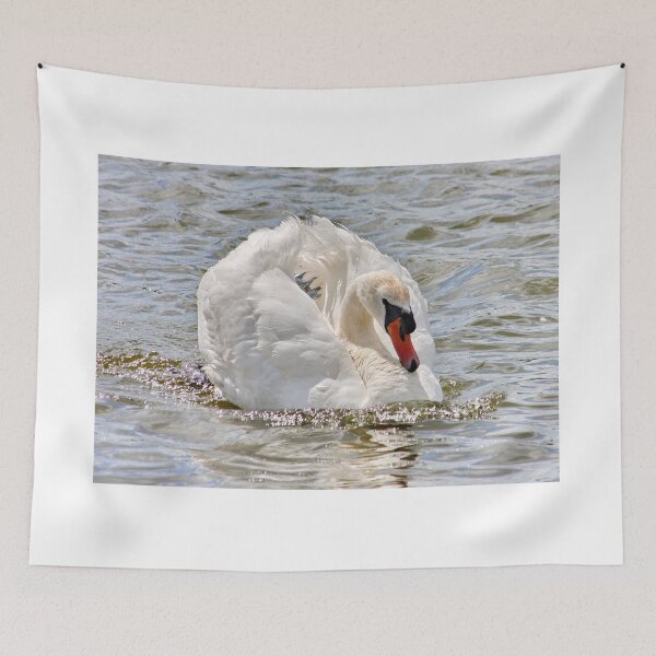 Item preview, Swan on the River Dee designed and sold by AnnDixon.