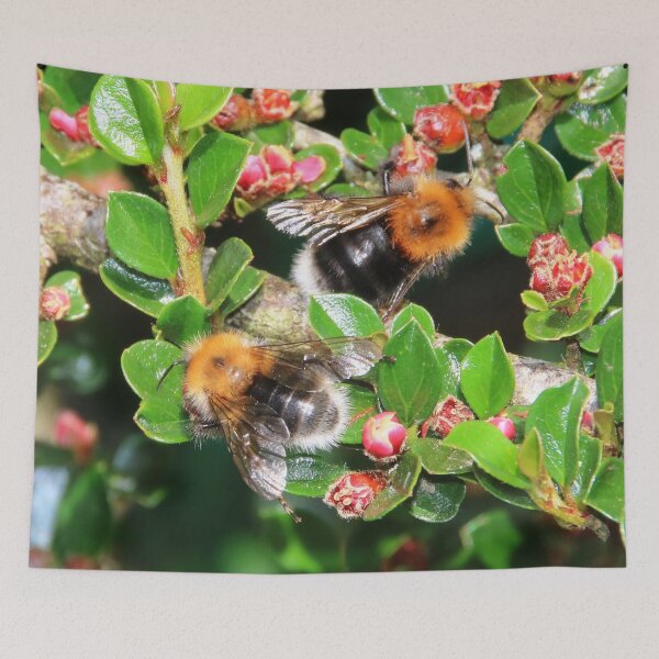 Item preview, Two Bumble Bees designed and sold by AnnDixon.