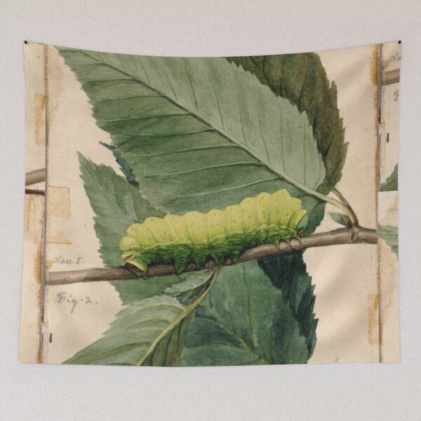 Item preview, Naturalist Caterpillar designed and sold by BlueSpecsStudio.