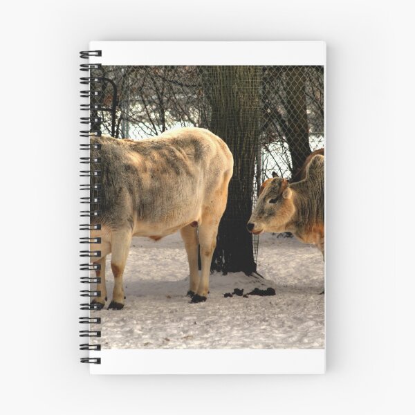 Item preview, Brahman Cattle designed and sold by Larry Trupp.