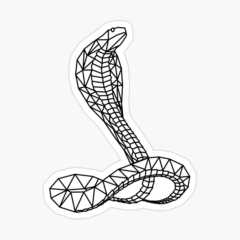dessin cobra  Snake drawing, Step by step drawing, Drawing tips