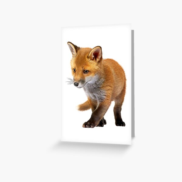 Cartes De Vœux Sur Le Theme Bebe Renard Redbubble