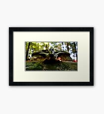 Cadillac Framed Print