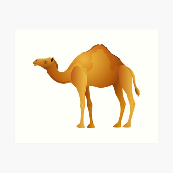 Golden Camel Art Print