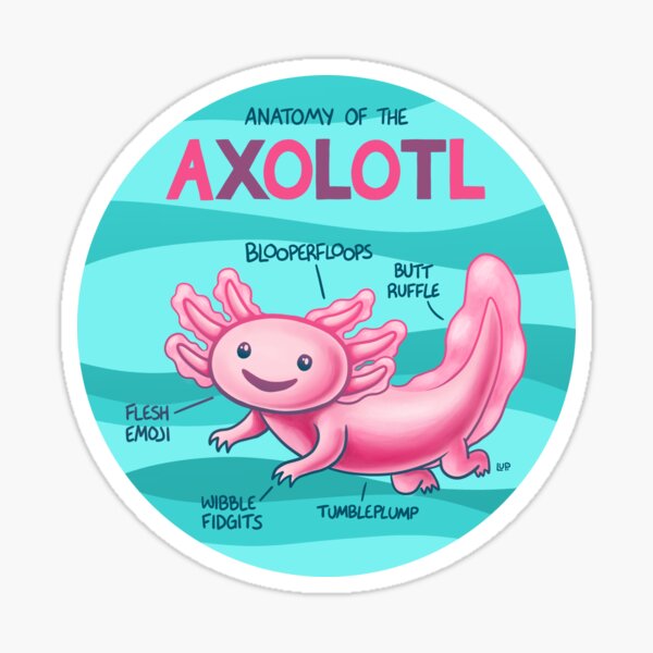 Vista previa del artículo con la obra «Anatomia del Axolotl», diseñado y vendido por lupi.