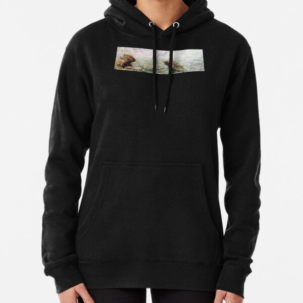 Echidnas in the Mist Pullover Hoodie