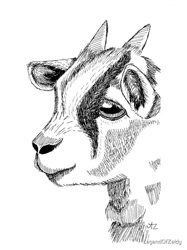 pic Baby Goat Black And White Drawing redbubble