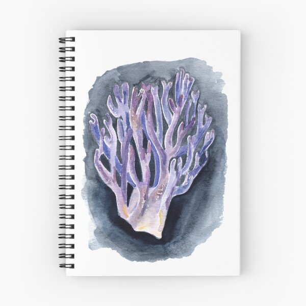 Item preview, C. zollingeri designed and sold by Amanda Meszaros Art.