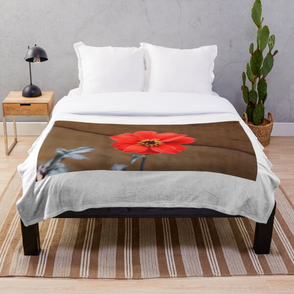 Dahlia 'Bishop of Llandaff' Throw Blanket