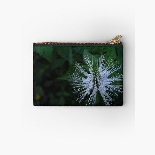 Item preview, Macro Catwhiskers From the Top designed and sold by KbytesOfJax Outdoor and Nature.