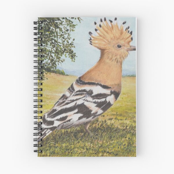 Item preview, Hoopoe - Upupa Epops designed and sold by FranEvans.