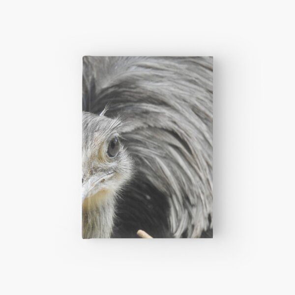 Greater Rhea, face-to-face Hardcover Journal