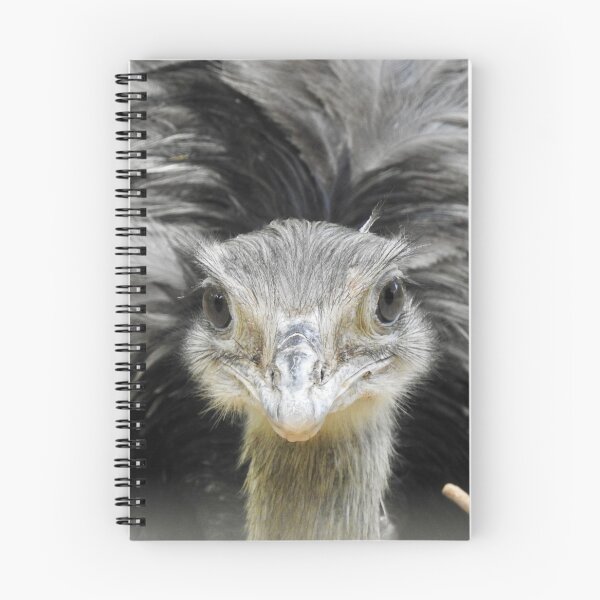 Item preview, Greater Rhea, face-to-face designed and sold by Martina Nicolls.