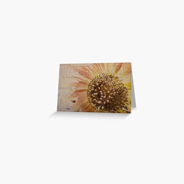 Summer Sunflowers Postcard Greeting Card