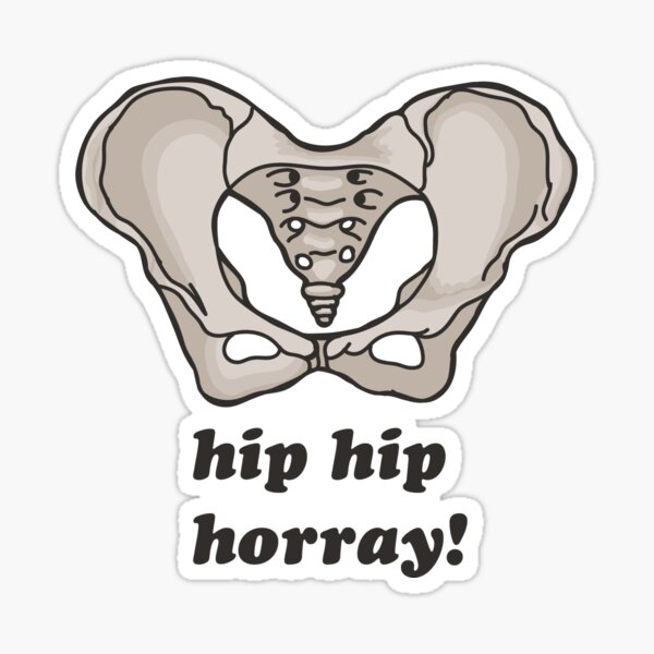 hip hip horray! Sticker