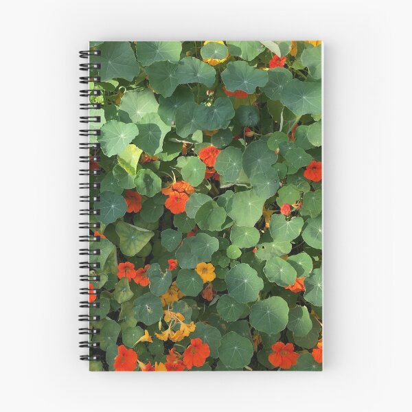Artikelvorschau, Tropaeolum Majus (Indische Kresse) entworfen und verkauft von ByMaSOLE.