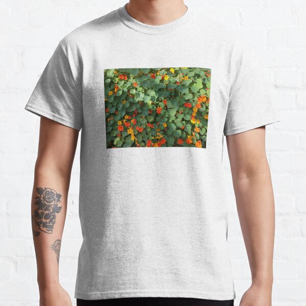 Tropaeolum Majus (Indian Cress) Classic T-Shirt