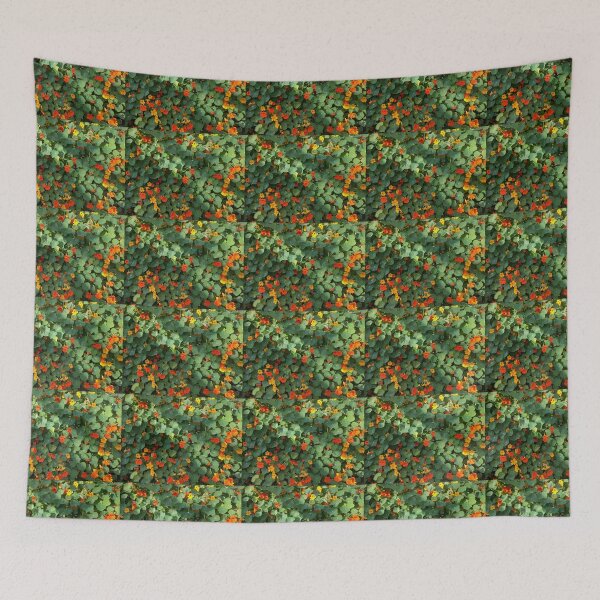 Item preview, Tropaeolum Majus (Indian Cress) designed and sold by ByMaSOLE.