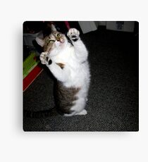I Didn't Do It! Canvas Print