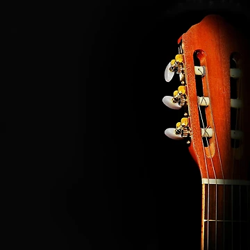 Aperçu de l'œuvre Guitare classique de LemonTreeDesign