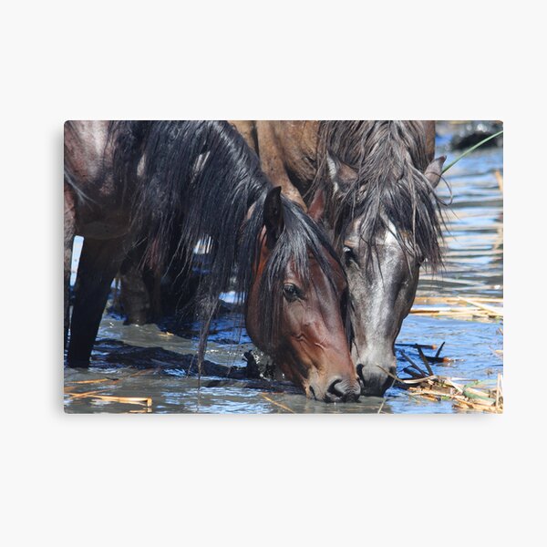 Happy Hour Canvas Print