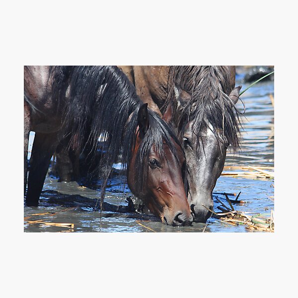 Happy Hour Photographic Print