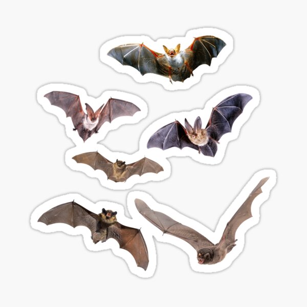 Item preview, Bats designed and sold by wiccantoadstyle.