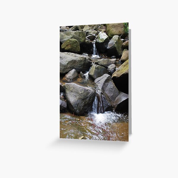 Buderim Waterfall, Sunshine Coast Queensland Greeting Card