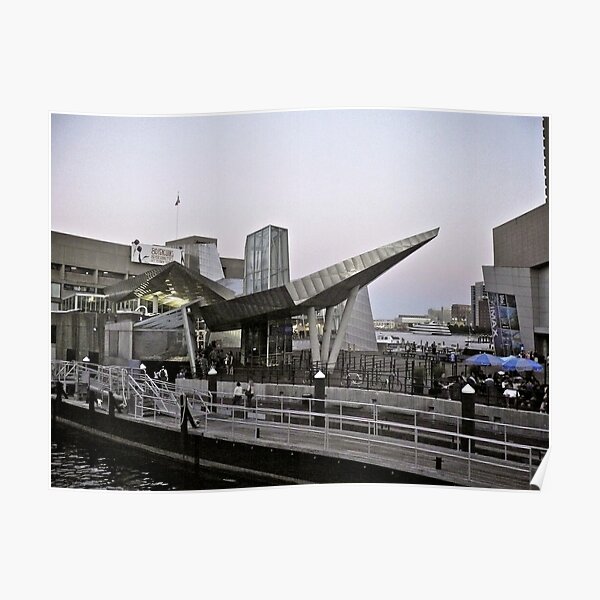 New England Aquarium - Long Wharf - Boston Poster