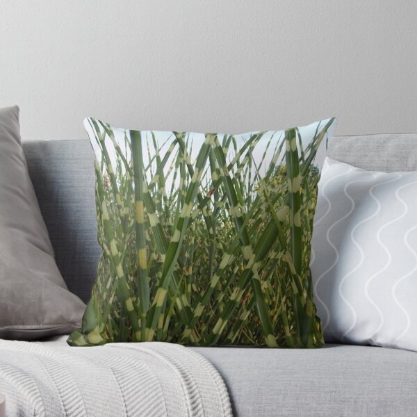 Item preview, Grassy Skies designed and sold by Lilmsscareall.