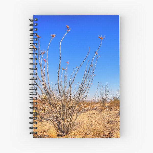 Item preview, An Ocotillo's Garden designed and sold by Owed To Nature.