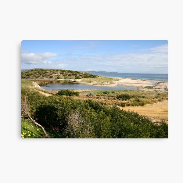 Item preview, Sand Dune System, South Australia designed and sold by jwwallace.