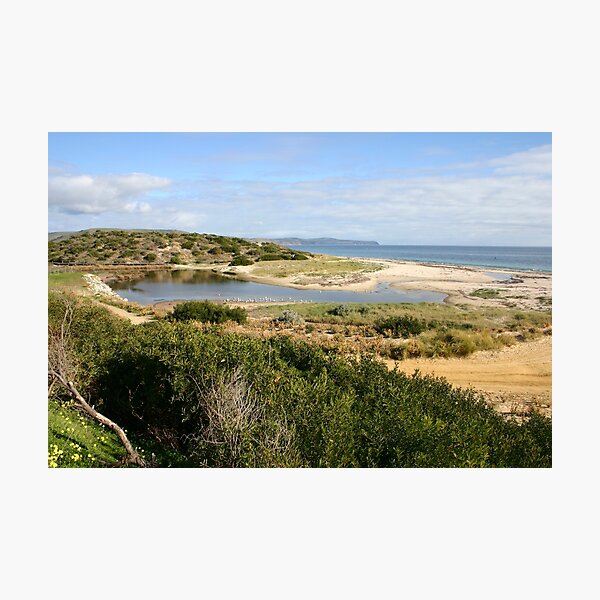 Item preview, Sand Dune System, South Australia designed and sold by jwwallace.