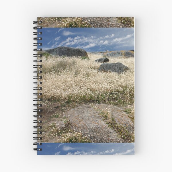 Item preview, Grass Tails among the Granite designed and sold by jwwallace.