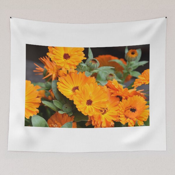 Item preview, Pot marigold designed and sold by santoshputhran.