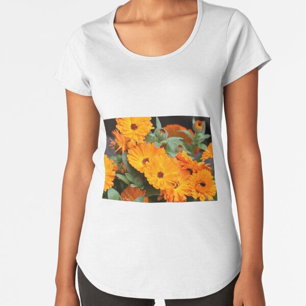 Pot marigold Premium Scoop T-Shirt