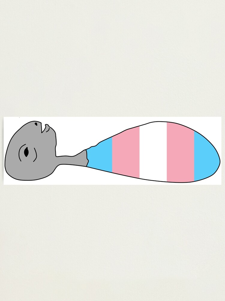 Lámina fotográfica «Eraserhead Baby Trans Pride» de lilim Redbubble