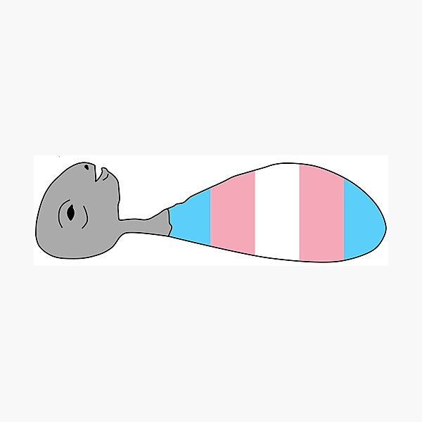 "Eraserhead Baby Trans Pride" Photographic Print by lilim Redbubble