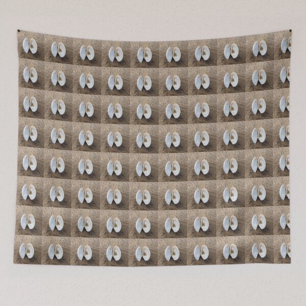Item preview, shell designed and sold by KathleenDawson.