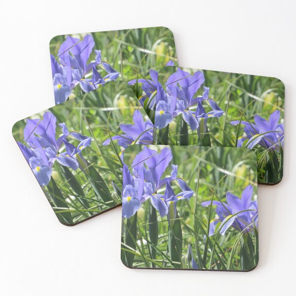 Item preview, Blue and Yellow Dutch Iris designed and sold by Honey Myrtle Studio.