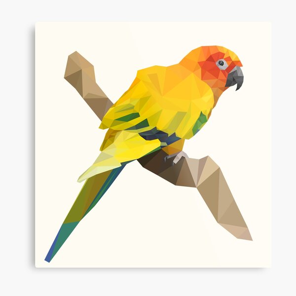 Geometric sun parakeet parrot Metal Print