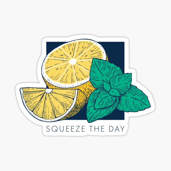 Stickers Northwest - Lemonade Pitcher, Squeeze the Day Sticker