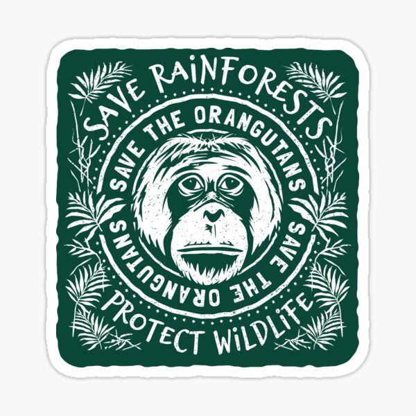 Save The Orangutan - Save Rainforests Protect Wildlife Sticker