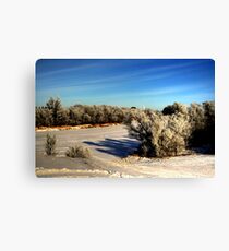 NATURE'S BRUSH Canvas Print