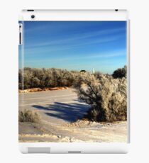 NATURE'S BRUSH iPad Case/Skin