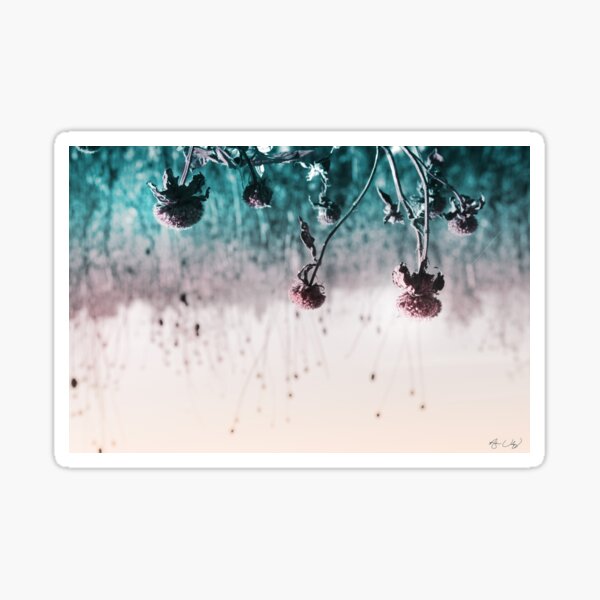 Fallen Pollen Sticker