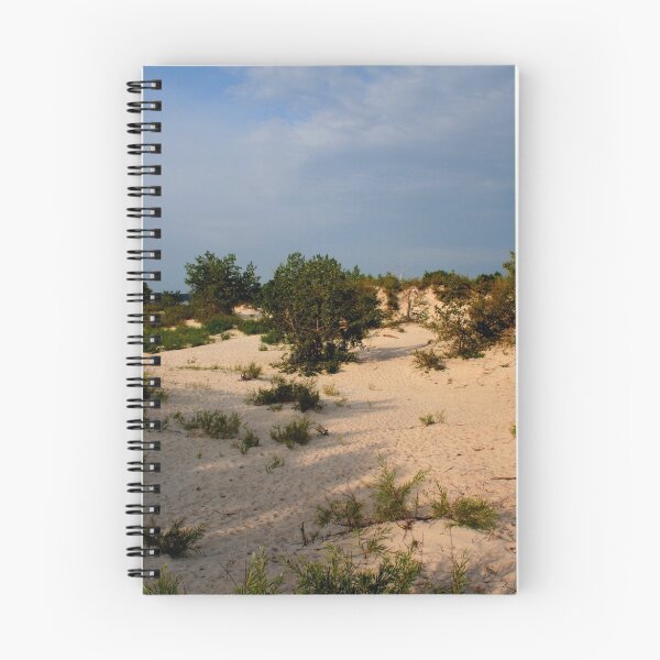 Item preview, The Sands of Time designed and sold by Larry Trupp.