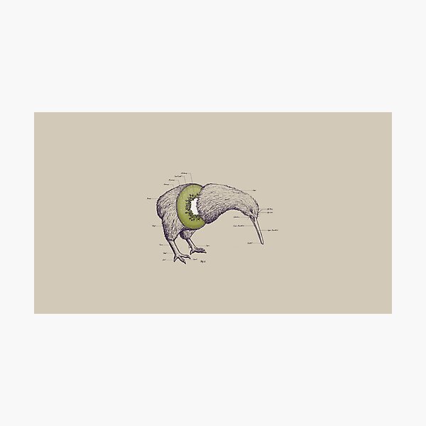 Item preview, Anatomy of a Kiwi designed and sold by ThatNeatStuff.