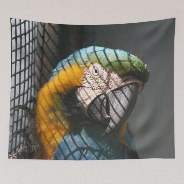 Item preview, Parrot Bird designed and sold by XCEEDTRANSITION.