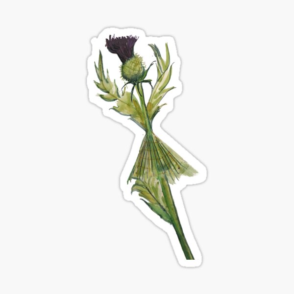 Item preview, Scotch thistle highland fling designed and sold by Izzy83.